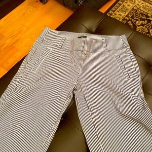 Loft pants